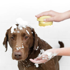 Bathroom-Puppy-Big-Dog-Cat-Bath_002