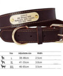 pet-accessories_leather-dog-collar_dark-brown_IDS-009