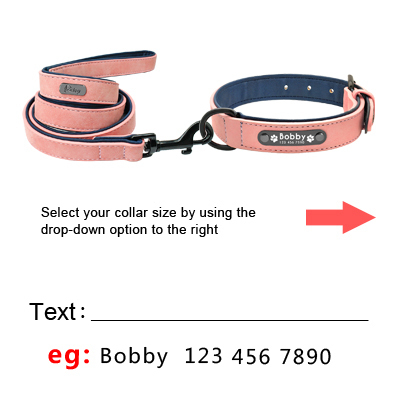 Custom-Dog-Collars-Leather_pink-set_IDS-156_400x400