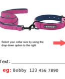 Custom-Dog-Collars-Leather_purple-set_IDS-156_400x400