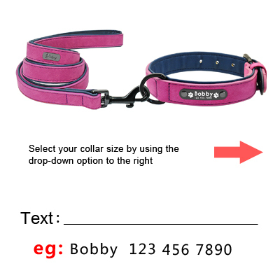 Custom-Dog-Collars-Leather_purple-set_IDS-156_400x400