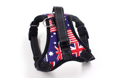 Dog-Collars_flag_IDS-161_430x430q9