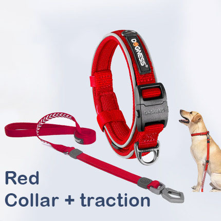 Leashes_red-with-traction-rope_IDS-164_430x430