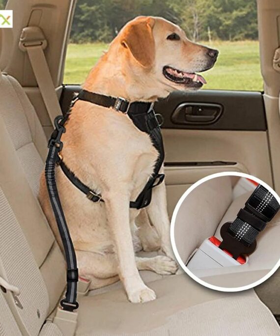 Pet-Dog-Cat-Car-Seat-Belt-Adjustable_002_IDS-157_800x800