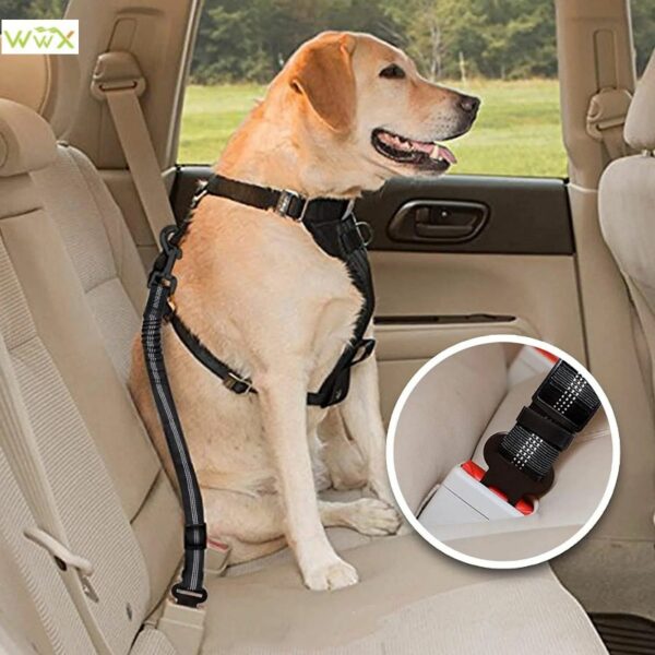 Pet-Dog-Cat-Car-Seat-Belt-Adjustable_002_IDS-157_800x800