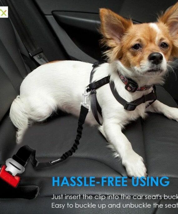 Pet-Dog-Cat-Car-Seat-Belt-Adjustable_005_IDS-157_800x800