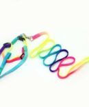 Pet-Dog-Leash-Durable-Nylon-Rainbow-1.2M_IDS-170_400x40