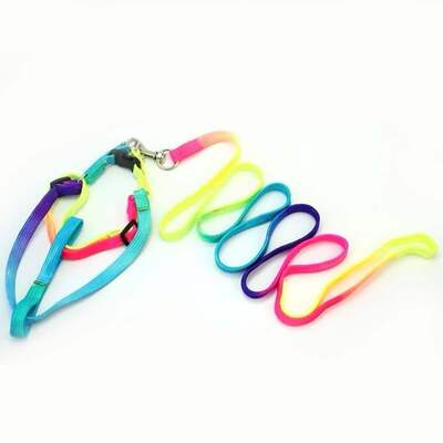 Pet-Dog-Leash-Durable-Nylon-Rainbow-1.2M_IDS-170_400x40