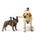 Pet-Mount-Harness-Accessory-Strap_001_IDS-253_640x640.jpg