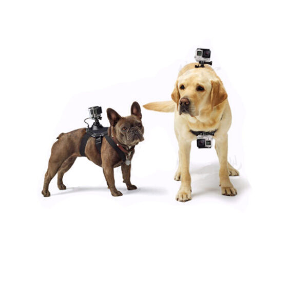 Pet-Mount-Harness-Accessory-Strap_001_IDS-253_640x640.jpg